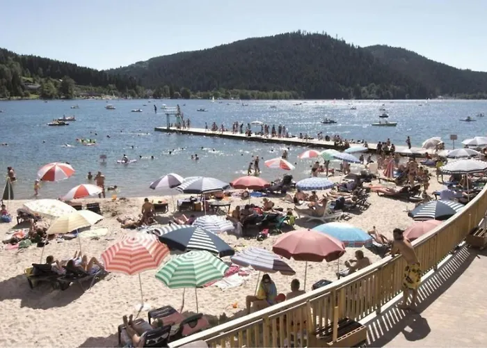 Les Jonquilles Apartmán Laveline-Devant-Bruyeres